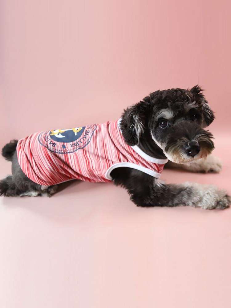   Multicolor Pet Clothing 5957