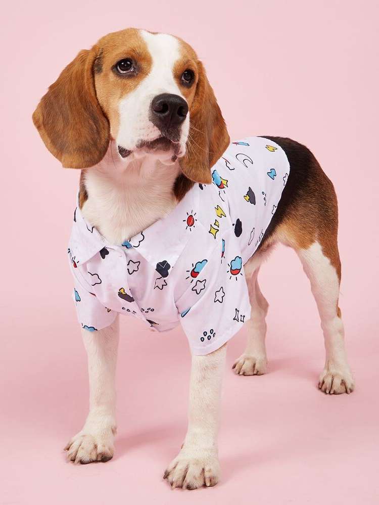  Multicolor Graphic Pet Clothing 8542