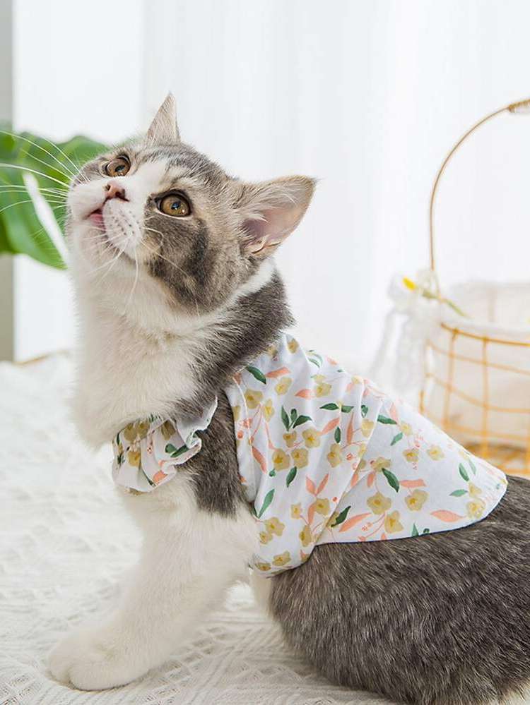  Multicolor Pet Clothing 3190