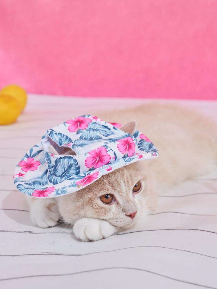   Pet Headwear 434