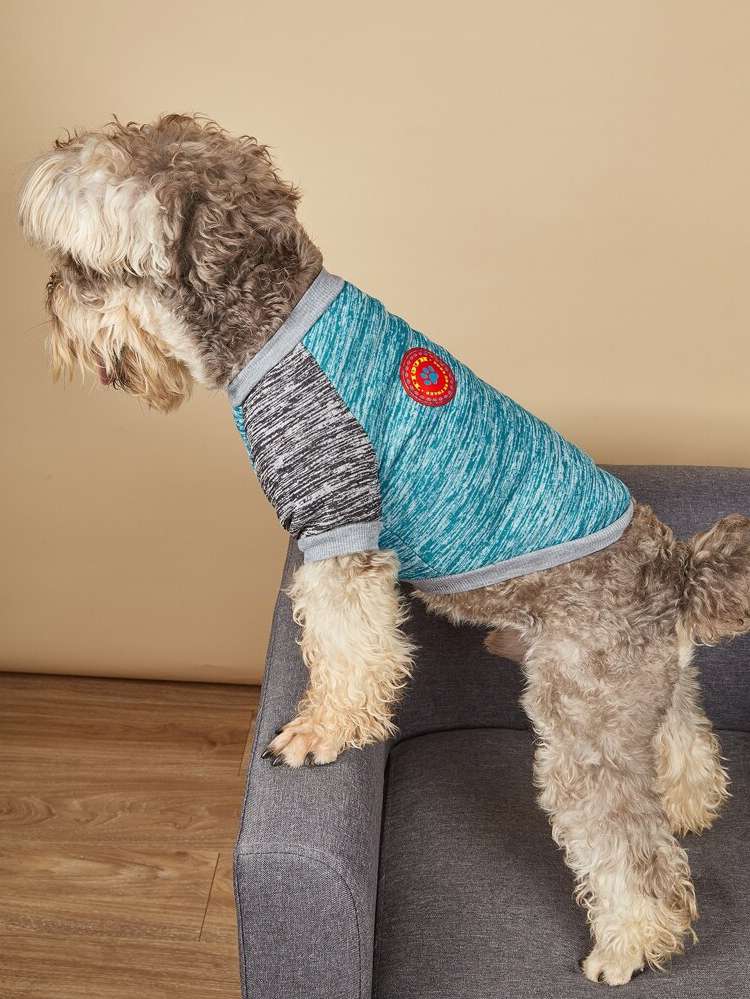   Pet Clothing 9168