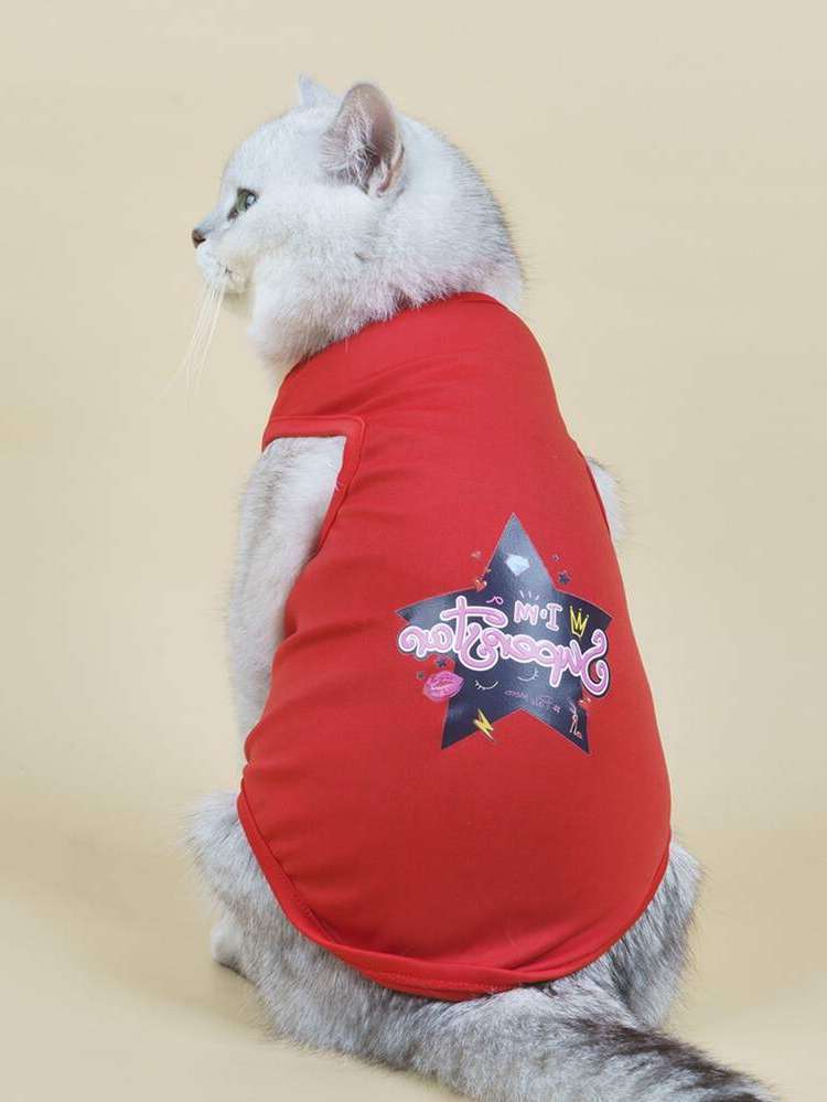  Slogan Pet Clothing 6908