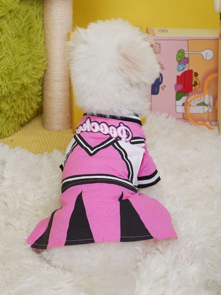   Pet Clothing 29