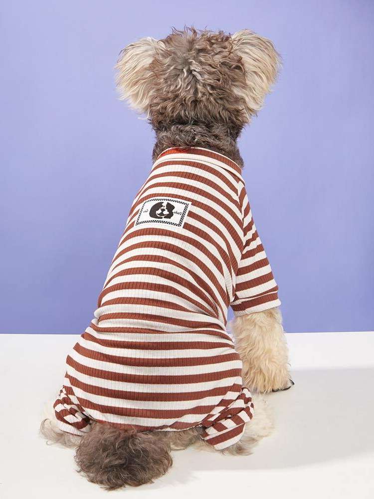   Multicolor Pet Clothing 2808