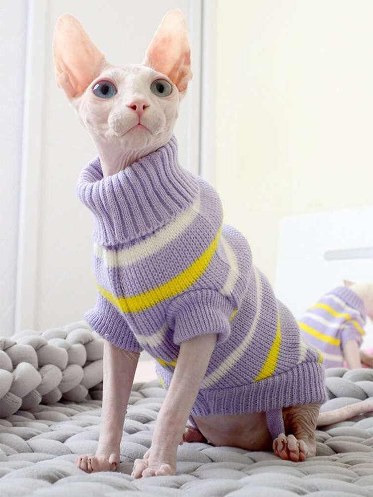   Pet Sweaters 6469