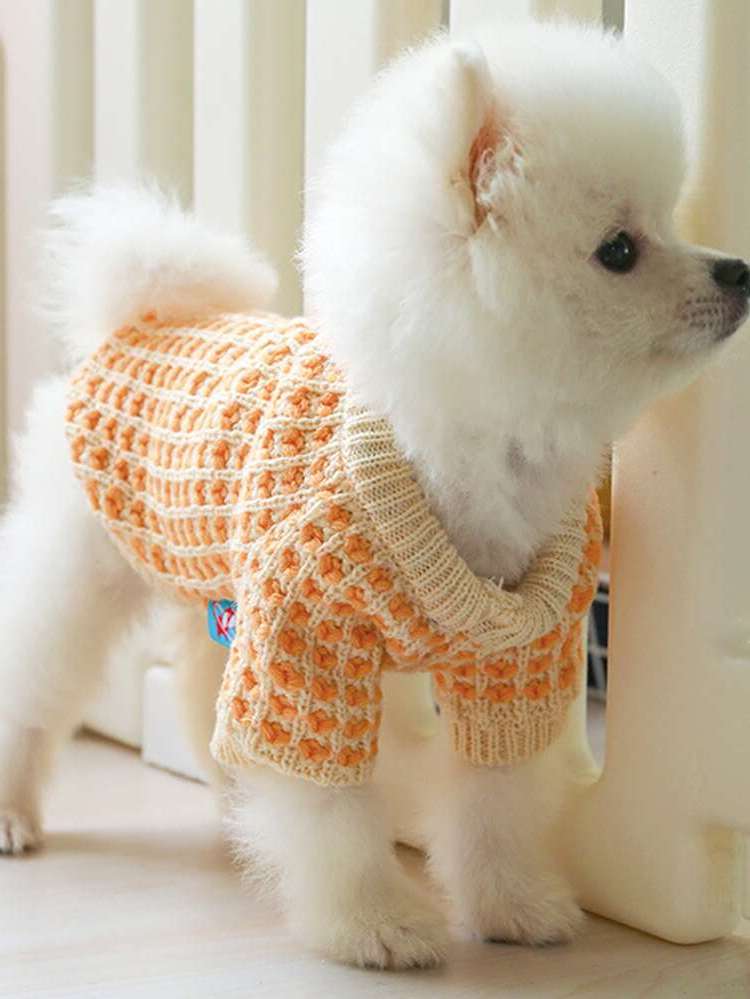 Multicolor  Pet Sweaters 5399