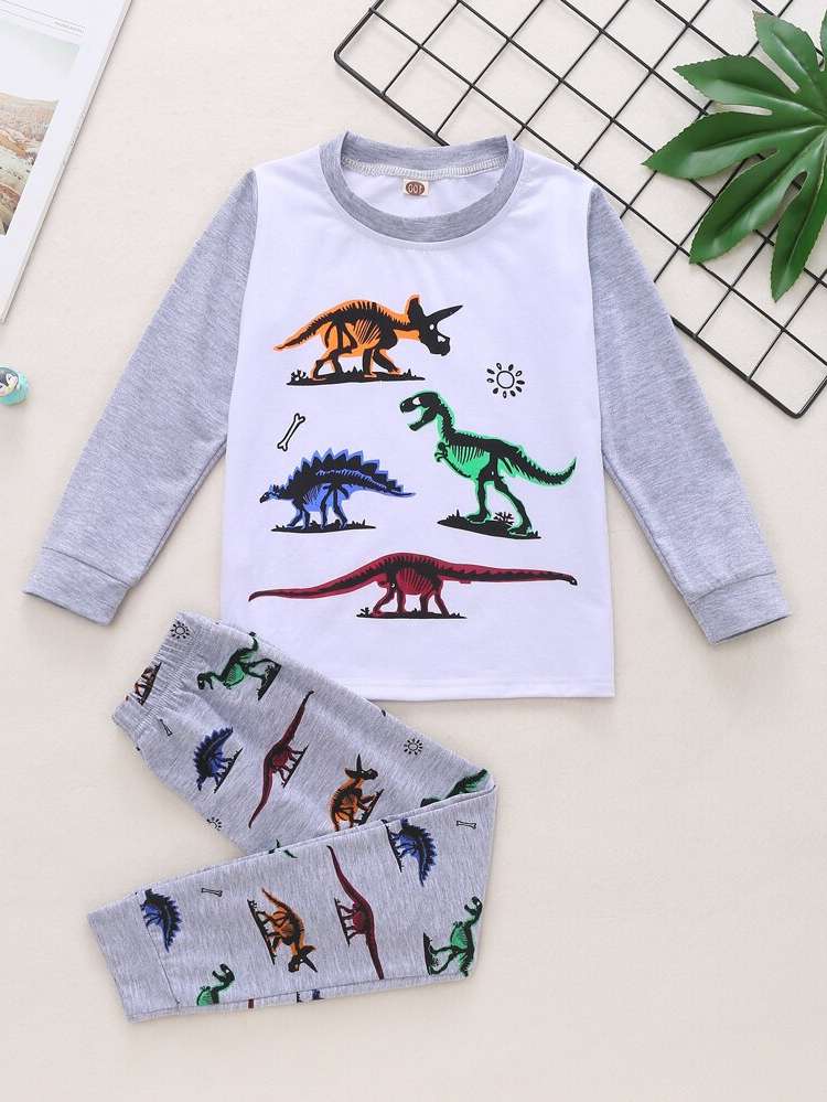Dinosaur Round Neck Long Sleeve Toddler Boys Clothing 5192