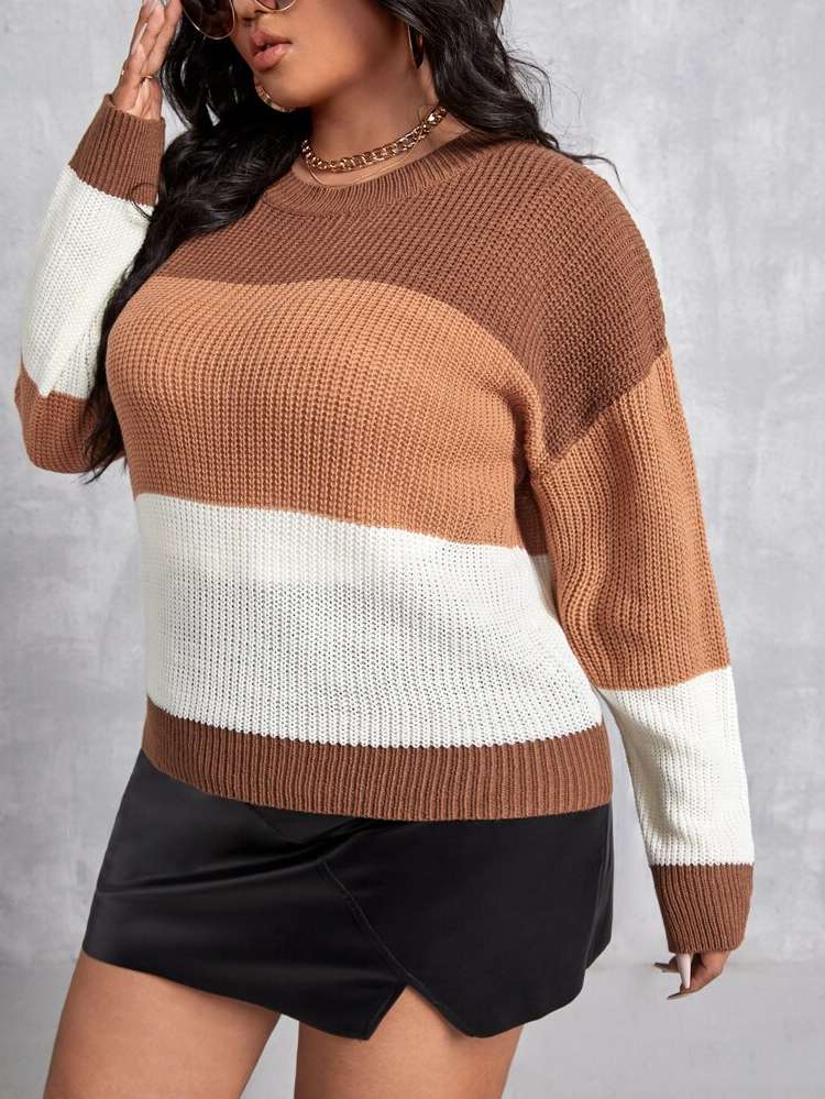  Multicolor Round Neck Plus Size Knitwear 408