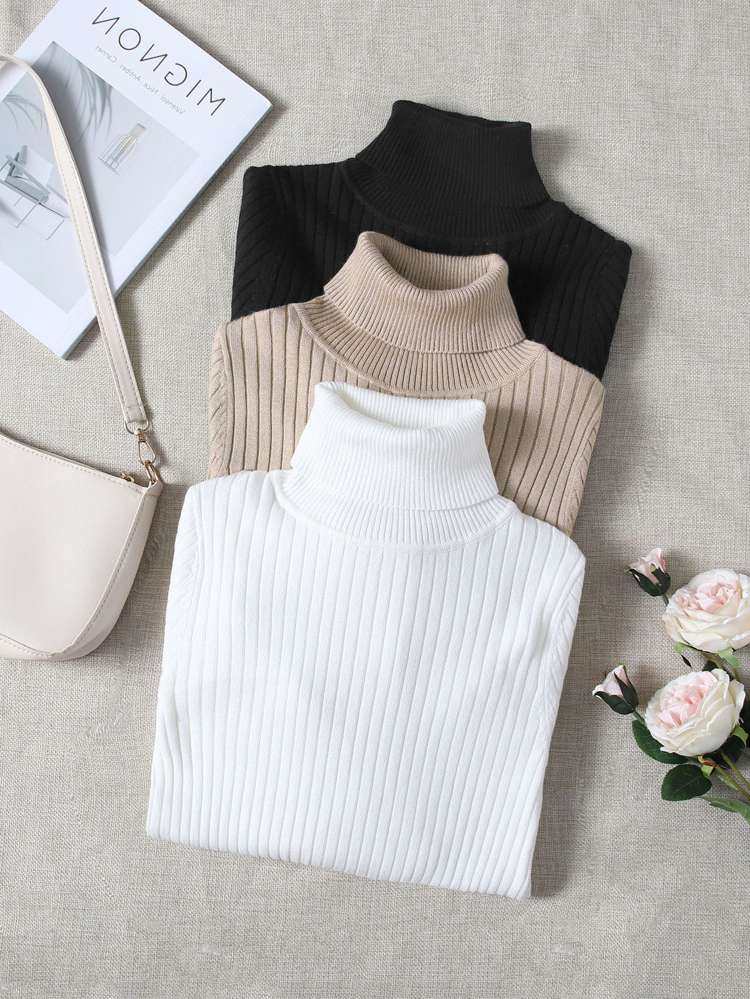 Rib-Knit Regular Plain Women Sweaters 4352