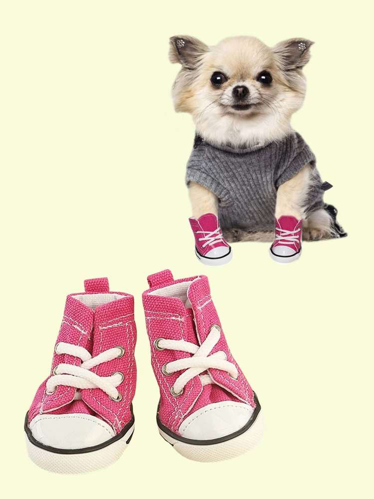   Pet Shoes  Boots 434