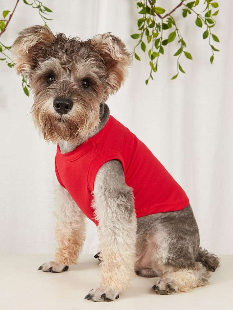  Orange Plain Pet Clothing 7179