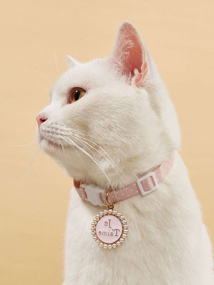   Pet Collars 5650