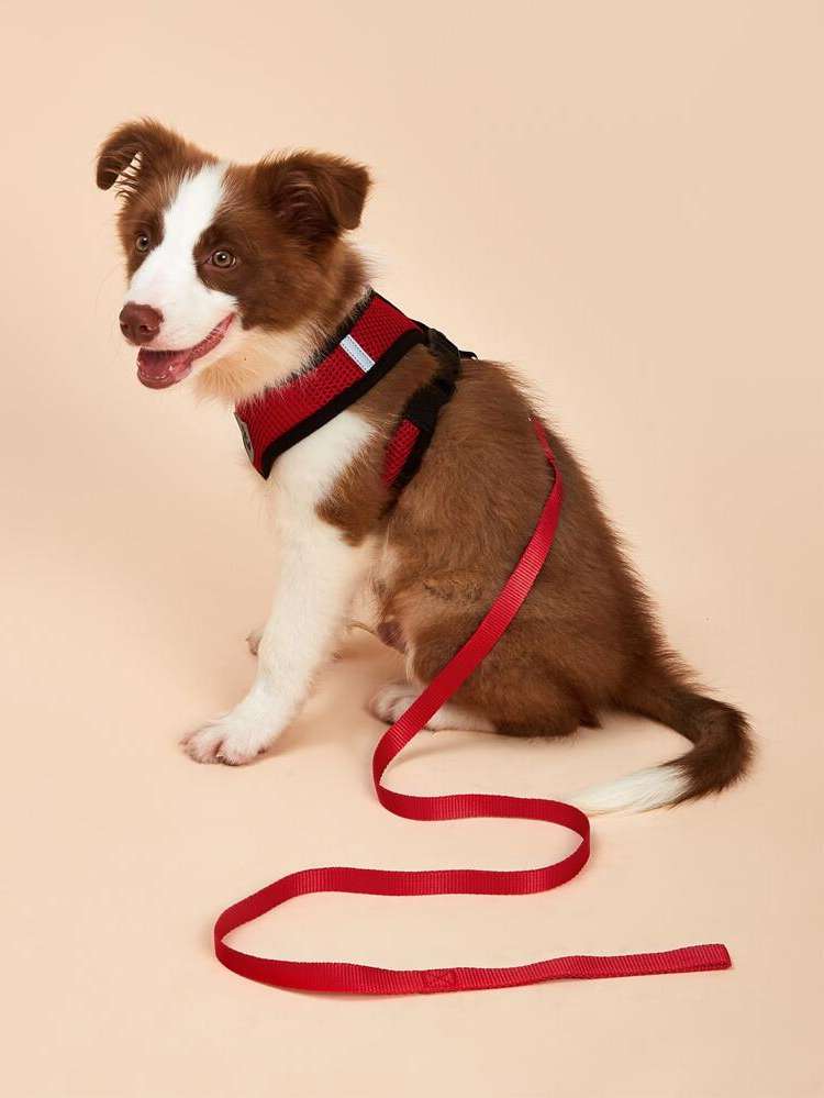 Pink  Colorblock Pet Leashes 27