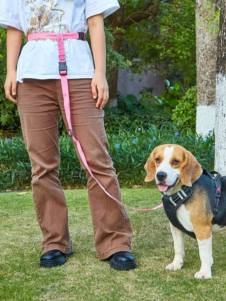   Plain Pet Leashes 1552