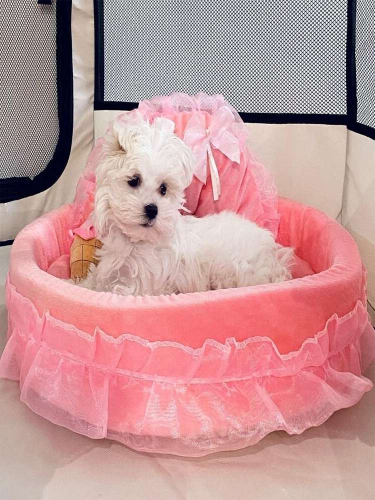   Pink Pet Bed  Crate Mat 4355