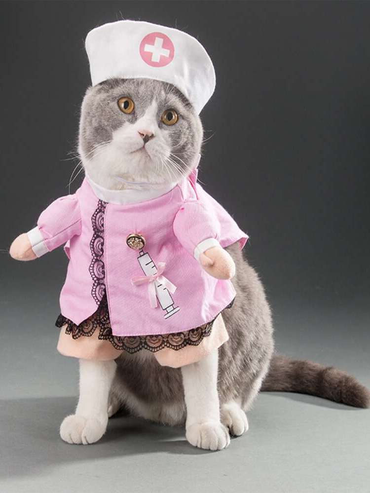   Pet Costumes 5093