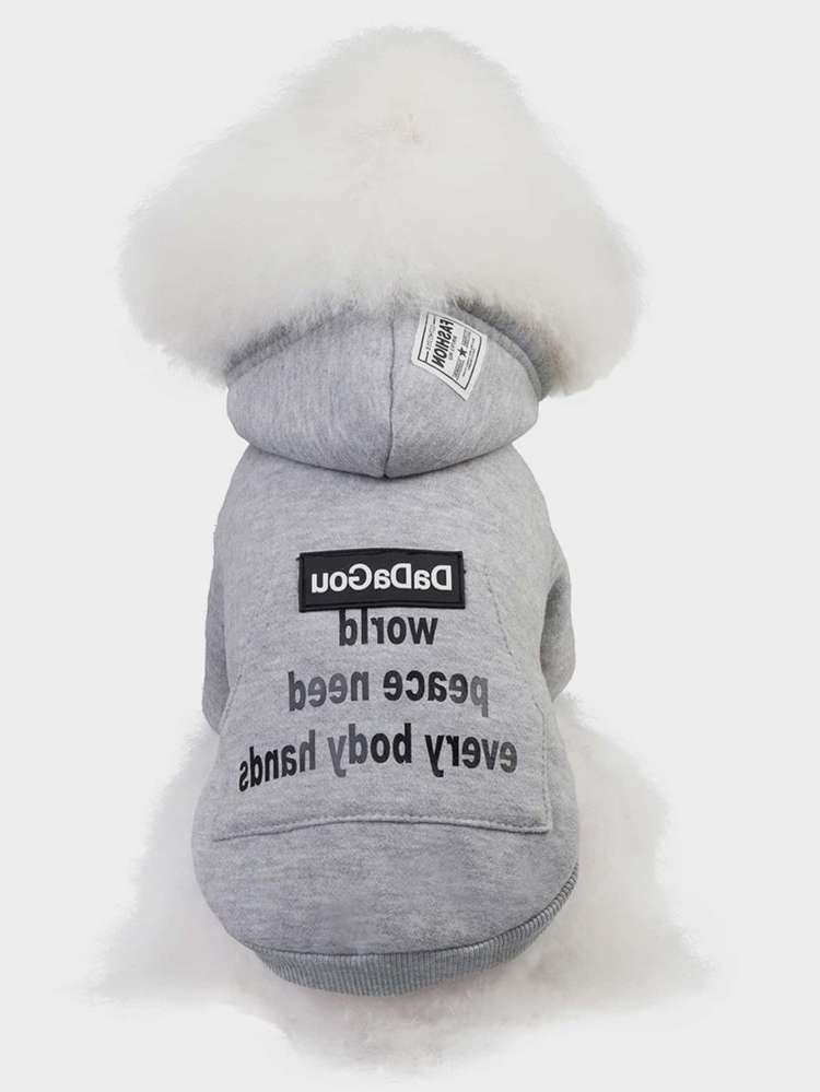  Slogan Pet Clothing 282