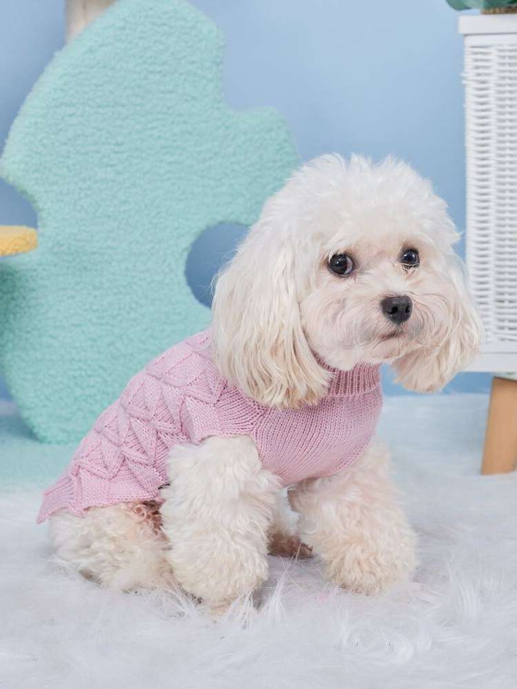  Plain Pet Clothing 5531