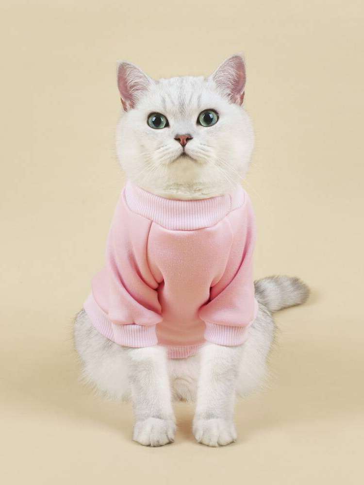   Pet Clothing 2110