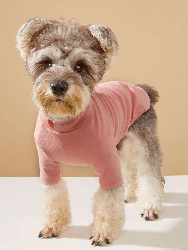  Pink Pet Clothing 1915