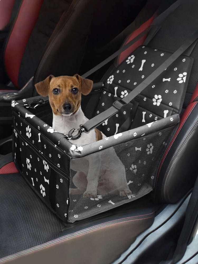   Pet Vehicle Accessories 384