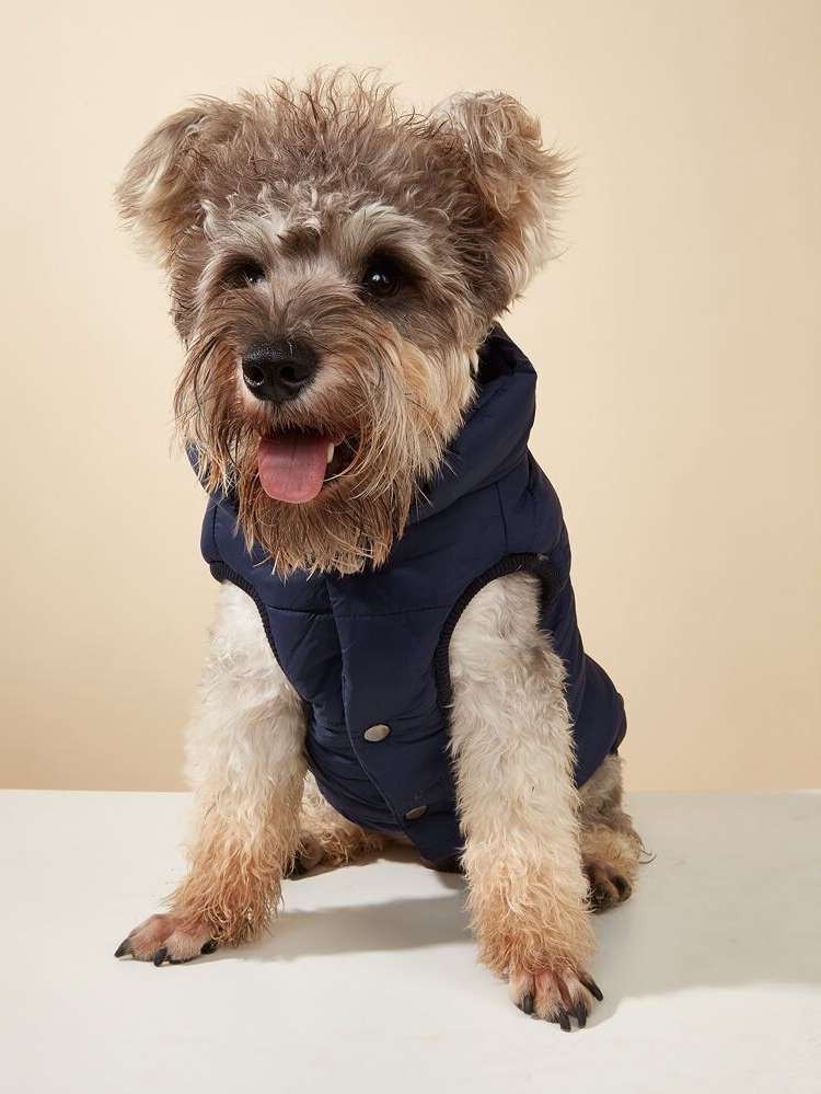   Plain Pet Clothing 4881