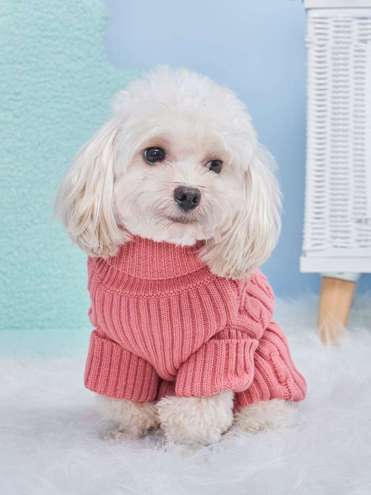  Plain Pet Clothing 8018