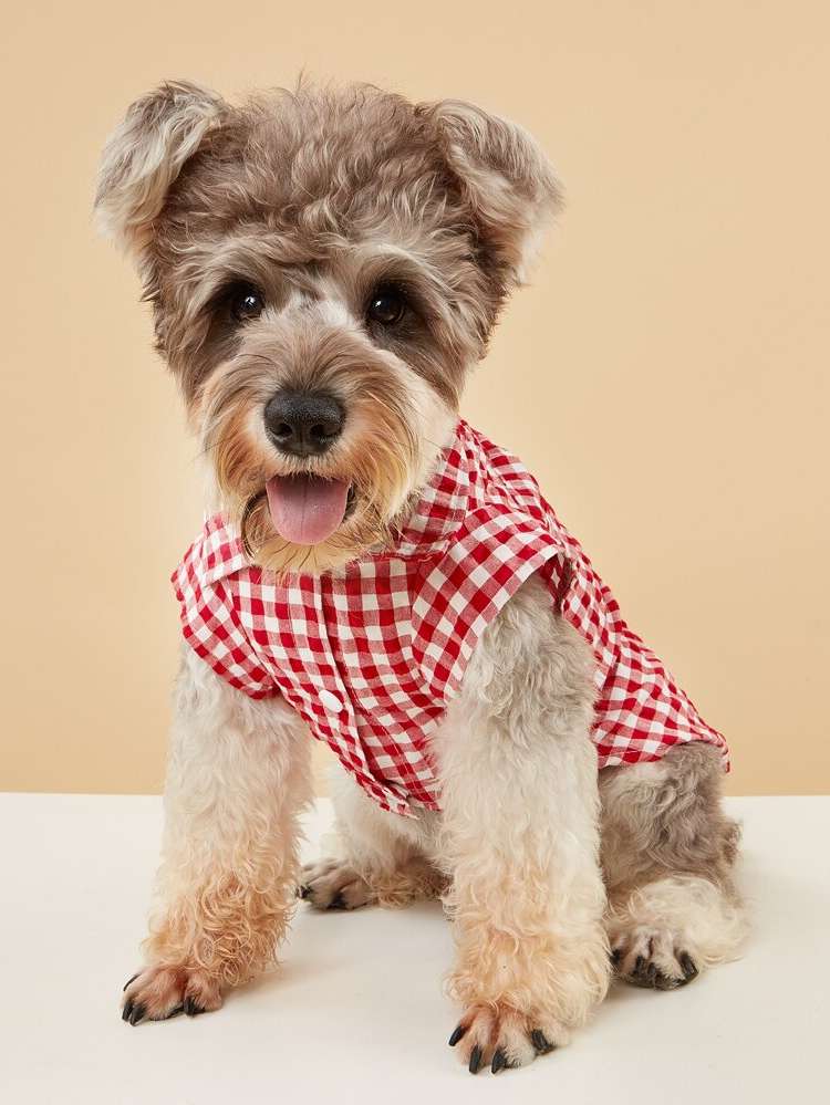  Gingham Pet Clothing 478