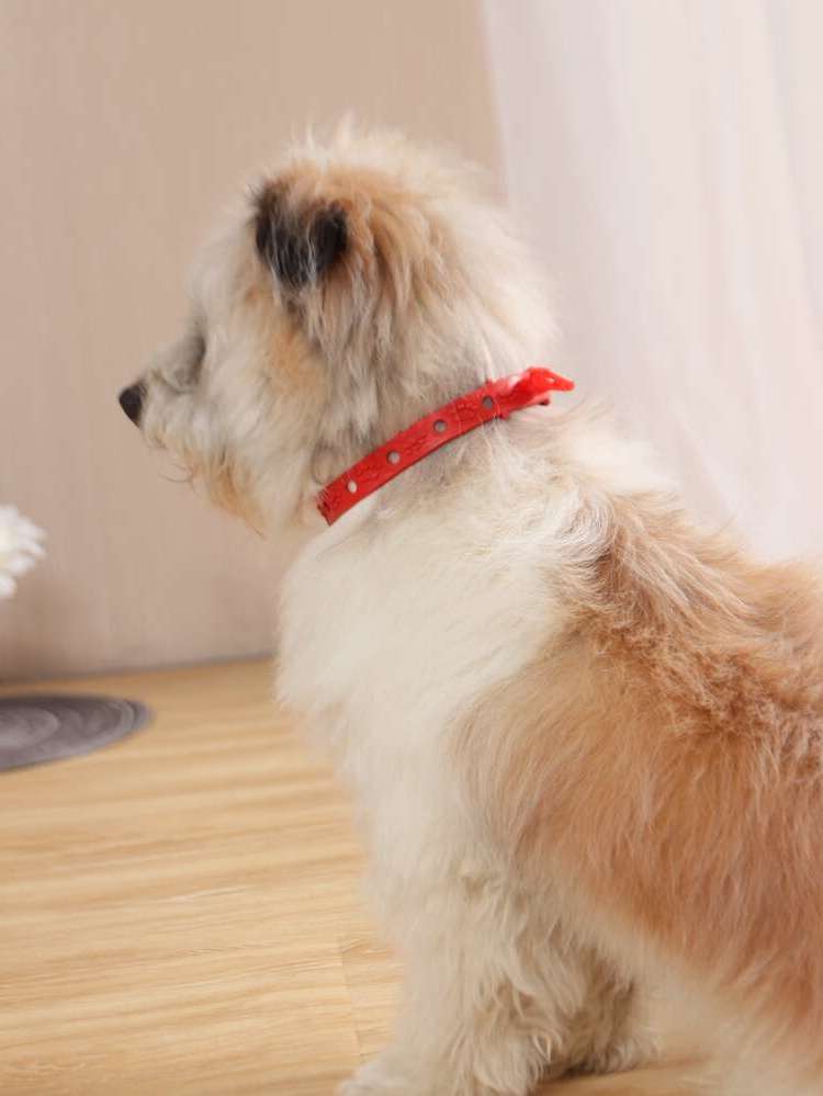  Red  Pet Collars, Leashes  Harnesses 4418