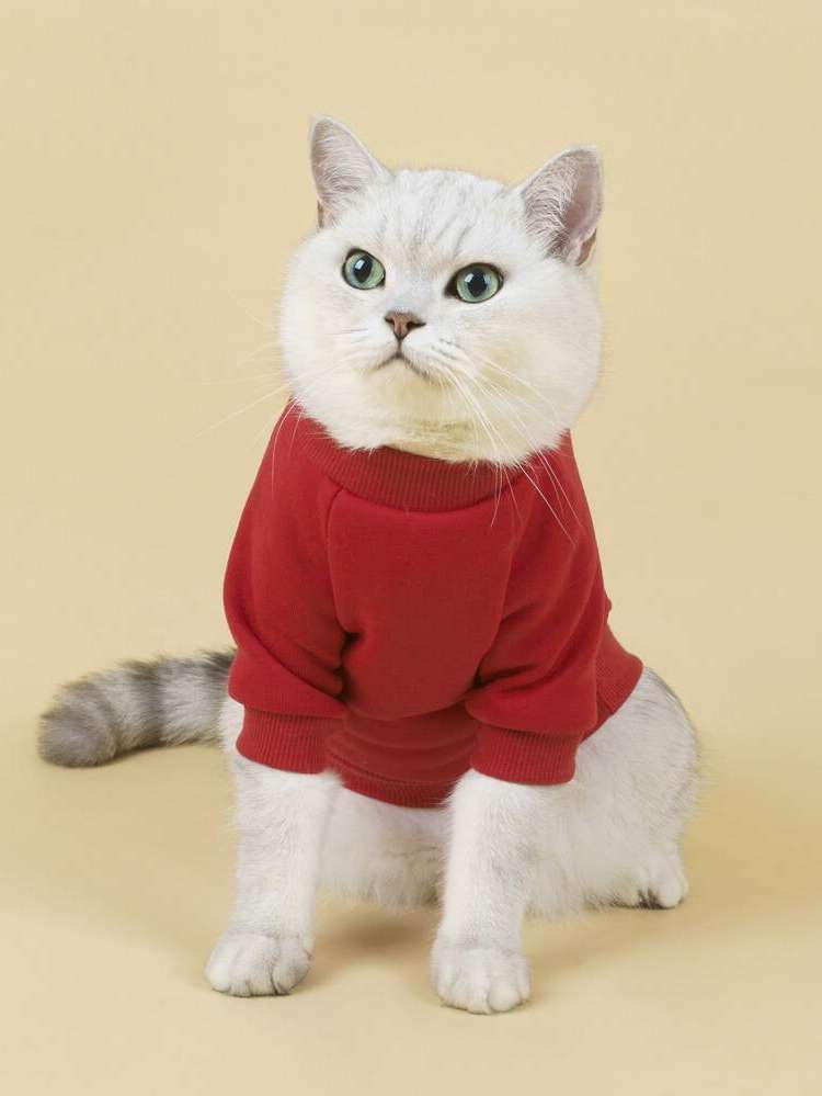   Pet Sweatshirts  Hoodies 6409