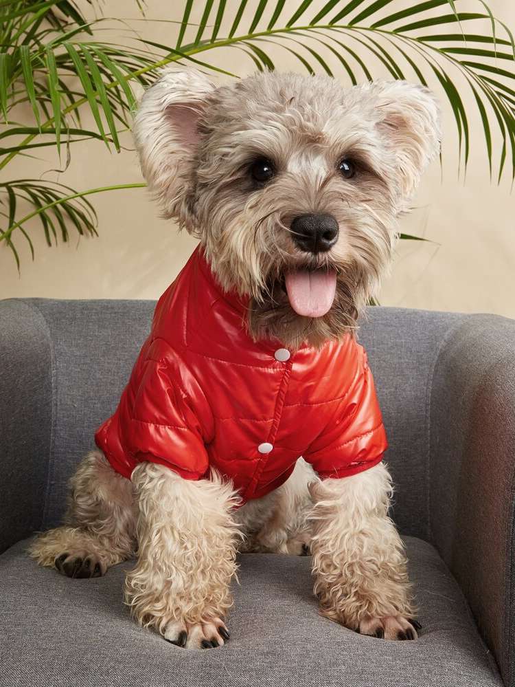   Pet Coats  Jackets 8912