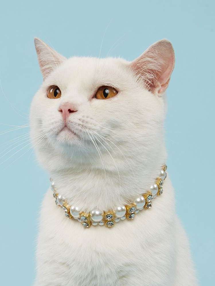   White Pet Necklaces 6718