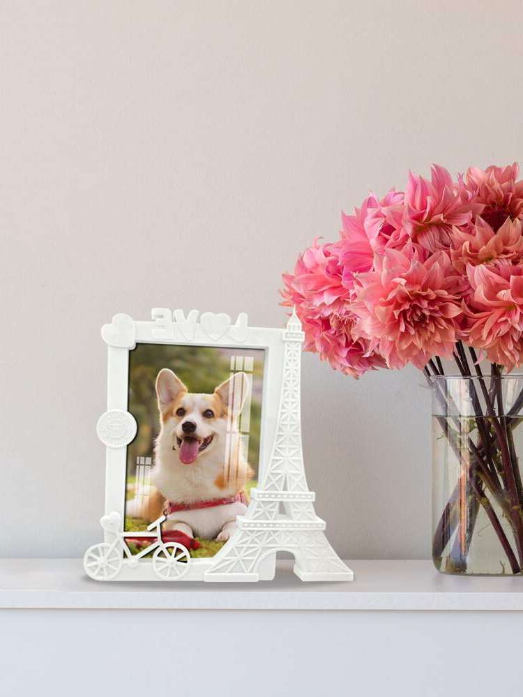   Photo Frames 6537