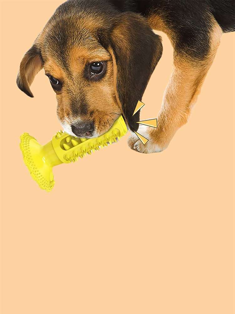   Yellow Pet Toys 7611