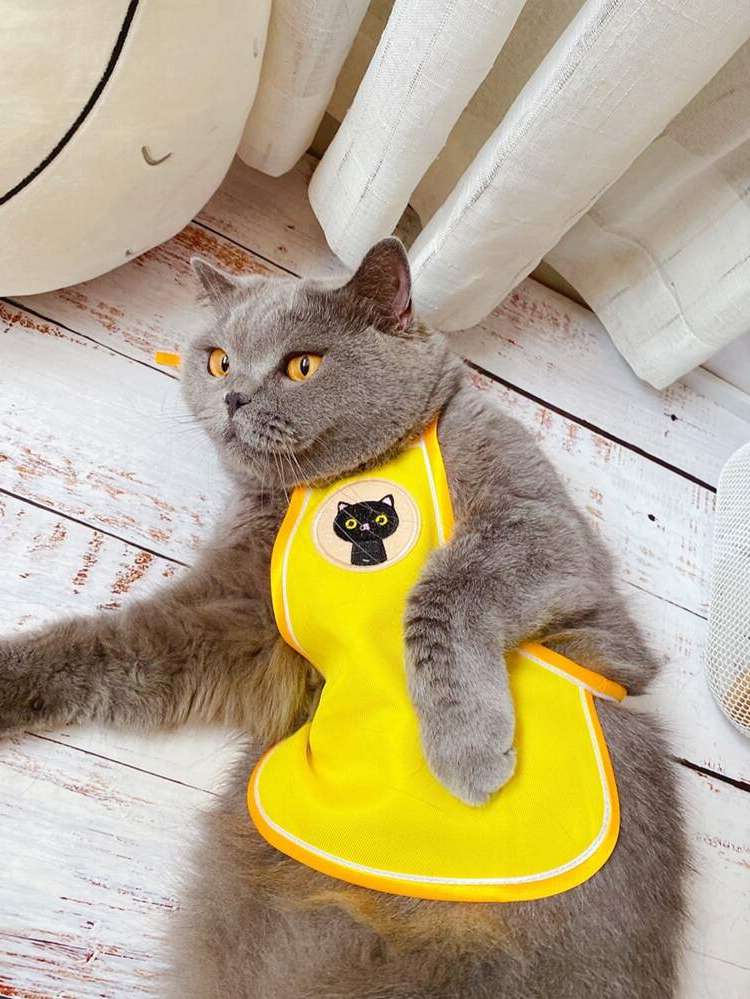   Yellow Pet Clothing 6412