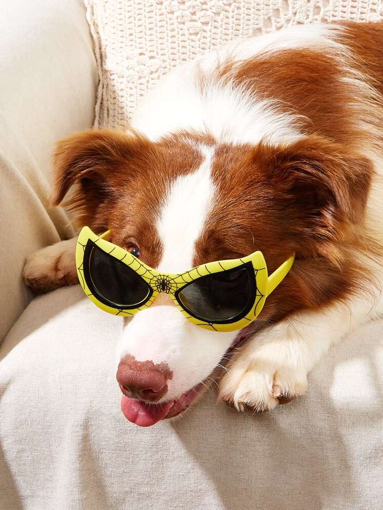   Pet Glasses 6679