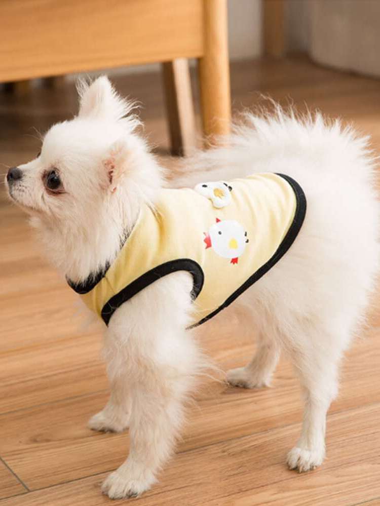  Cartoon Pet Clothing 2203