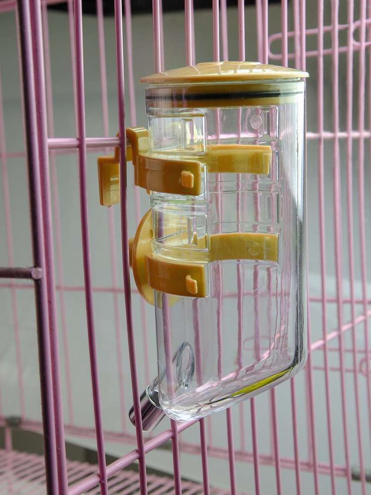 Yellow  Pet Bowls  Feeders 5145